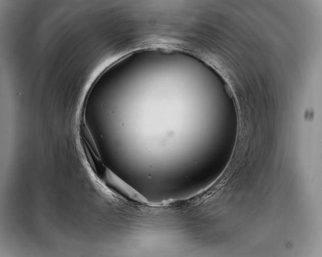 X0000098131152200804171515