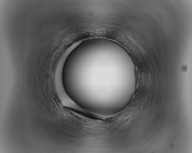 X0000098131153200804171514