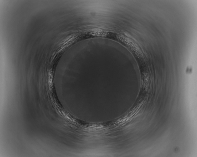 X0000098131154200804171514