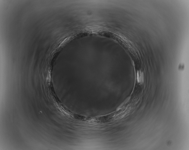 X0000098131155200804171514