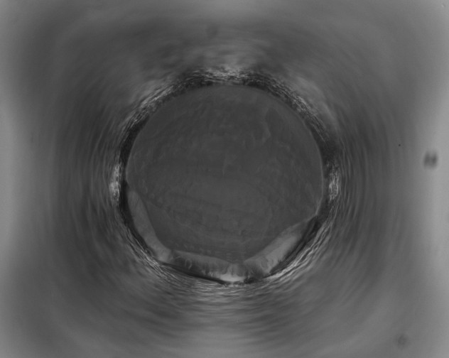 X0000098131156200804171514