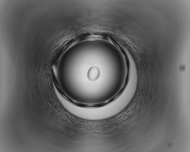 X0000098131157200804171514