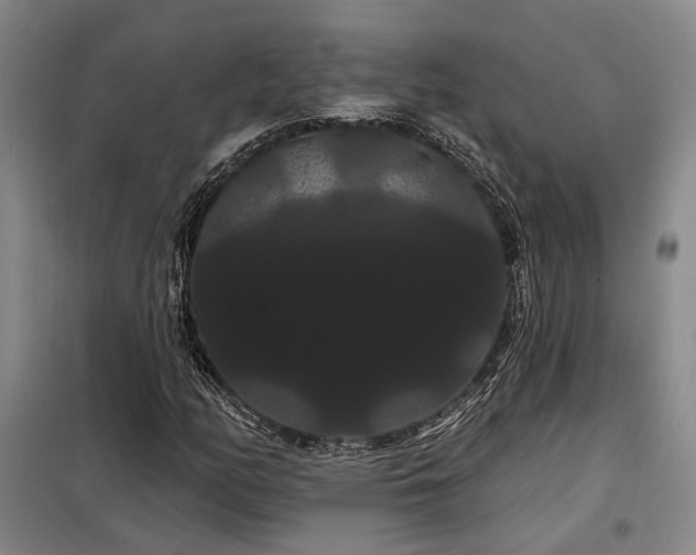 X0000098131158200804171514
