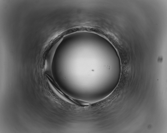 X0000098131159200804171514
