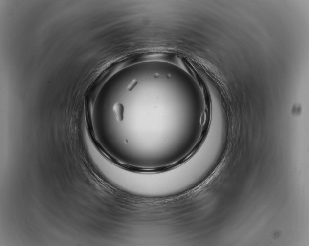 X0000098131161200804171514