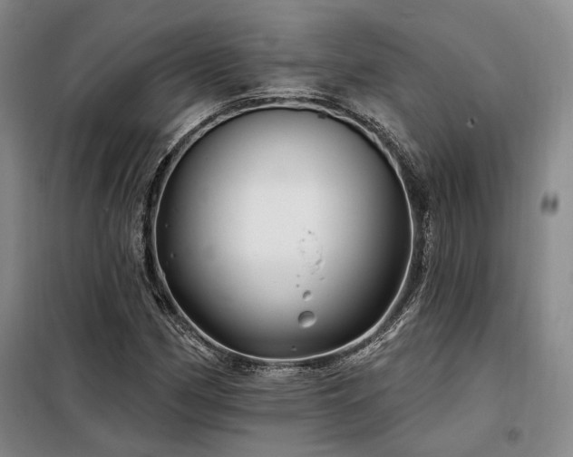 X0000098131162200804171514