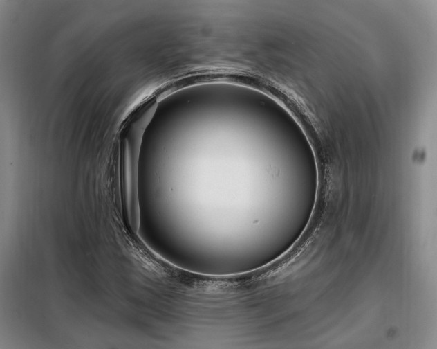 X0000098131163200804171514