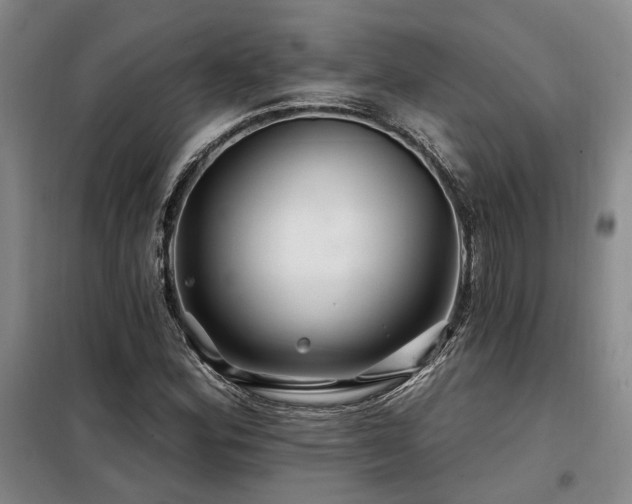 X0000098131164200804171514