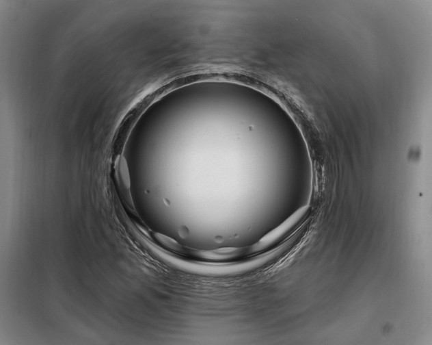 X0000098131165200804171514
