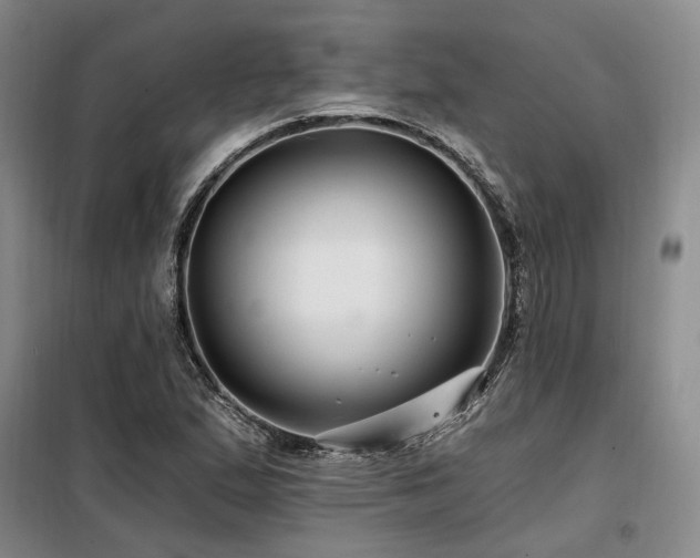 X0000098131167200804171514