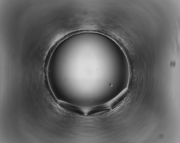 X0000098131168200804171514