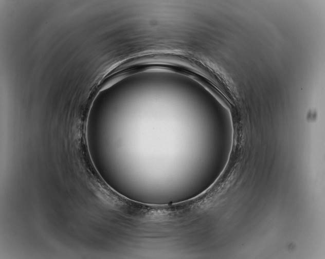 X0000098131169200804171514