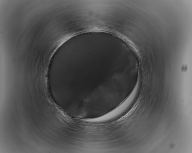 X0000098131170200804171514