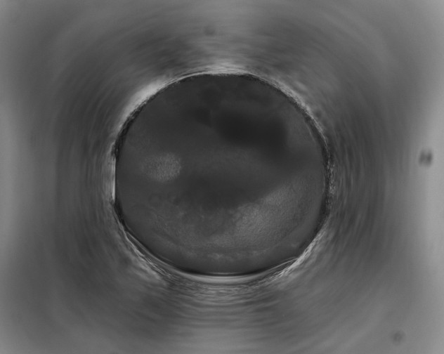 X0000098131171200804171514