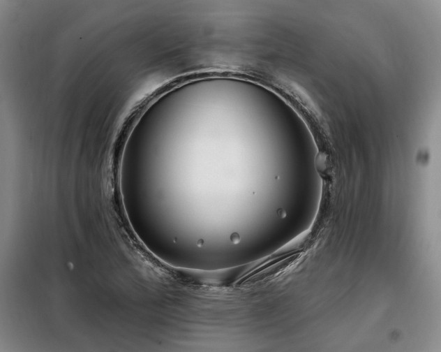 X0000098131172200804171514