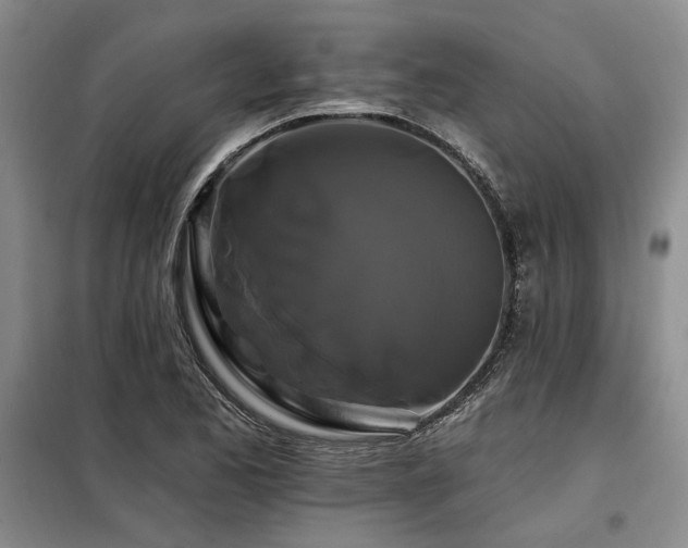 X0000098131173200804171514