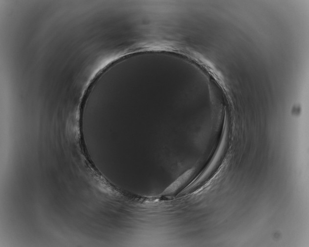 X0000098131174200804171514