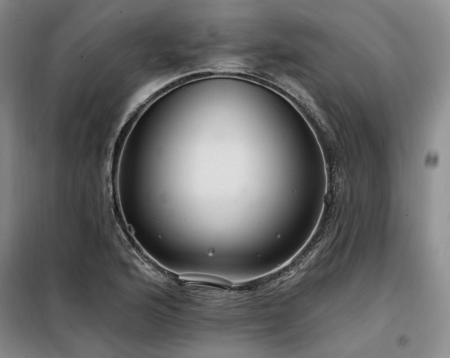 X0000098131176200804171514