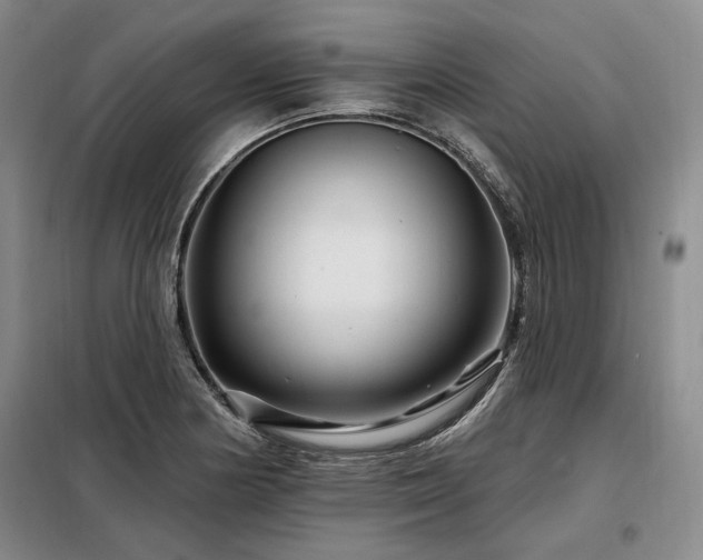 X0000098131178200804171514