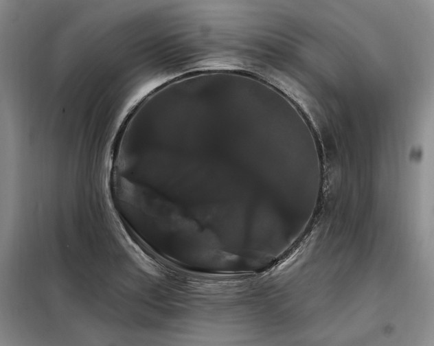 X0000098131179200804171514
