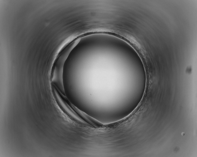 X0000098131181200804171514