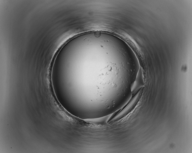 X0000098131182200804171514