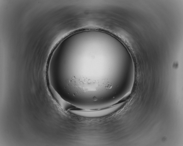 X0000098131183200804171514