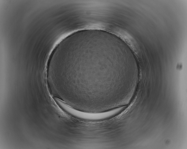 X0000098131184200804171514