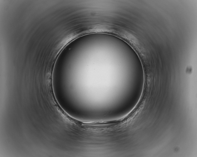 X0000098131185200804171514