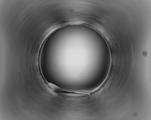 X0000098131186200804171513