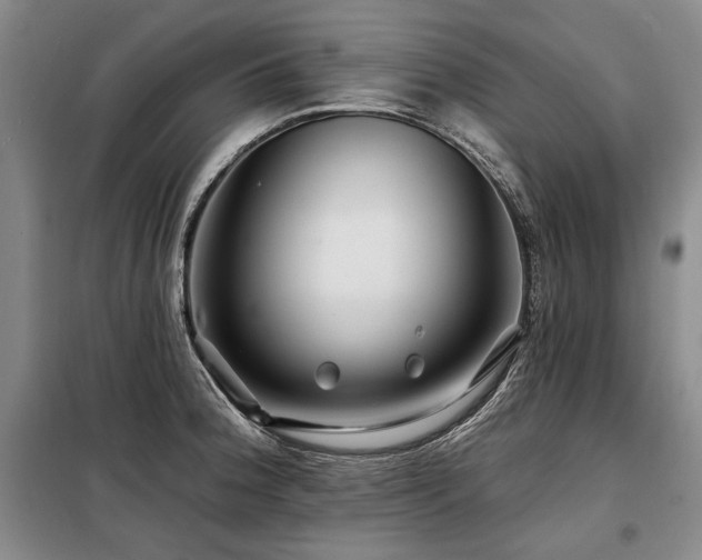 X0000098131188200804171513