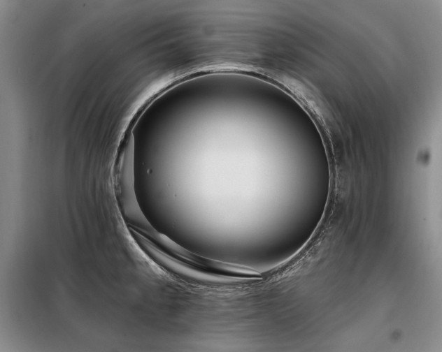 X0000098131189200804171513