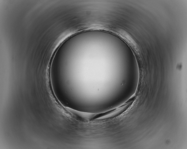 X0000098131190200804171513