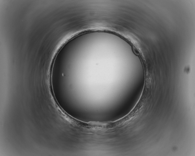 X0000098131191200804171513