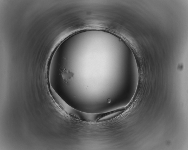 X0000098131192200804171513
