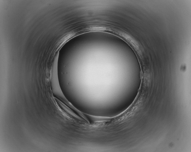 X0000098131193200804171513