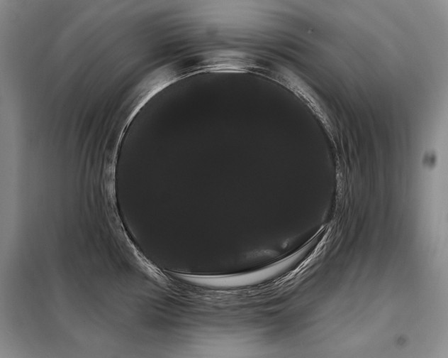 X0000098131194200804171513