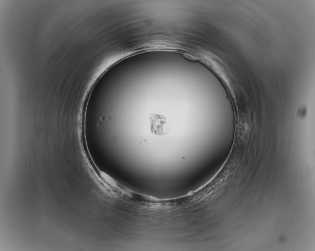 X0000098131195200804171513