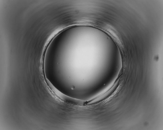 X0000098131196200804171513