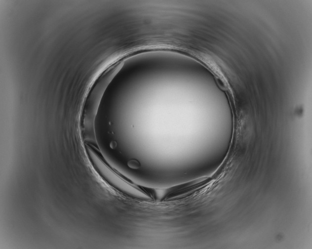 X0000098131197200804171513