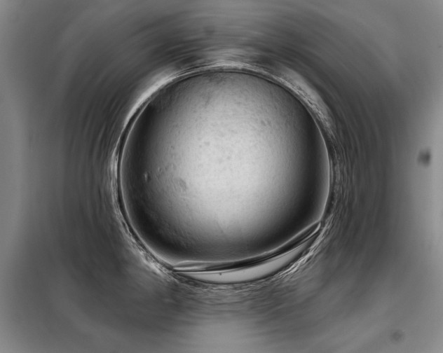 X0000098131198200804171513