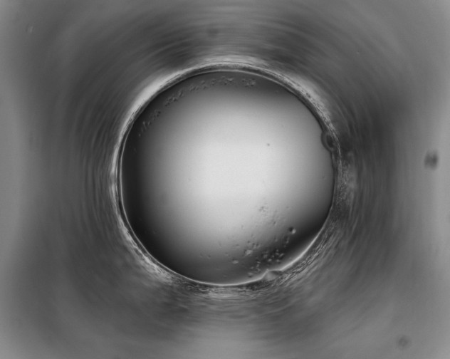 X0000098131199200804171513