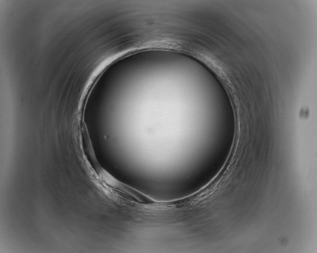 X0000098131200200804171513