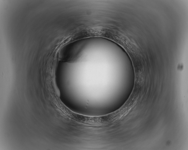 X0000098131201200804171512