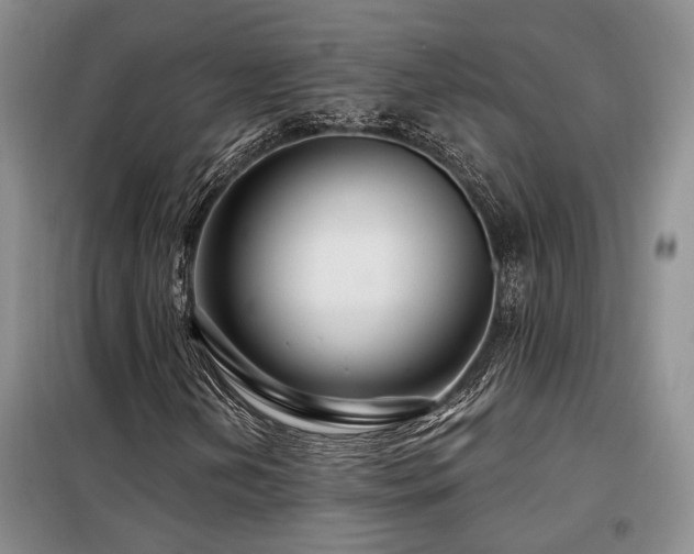 X0000098131202200804171512