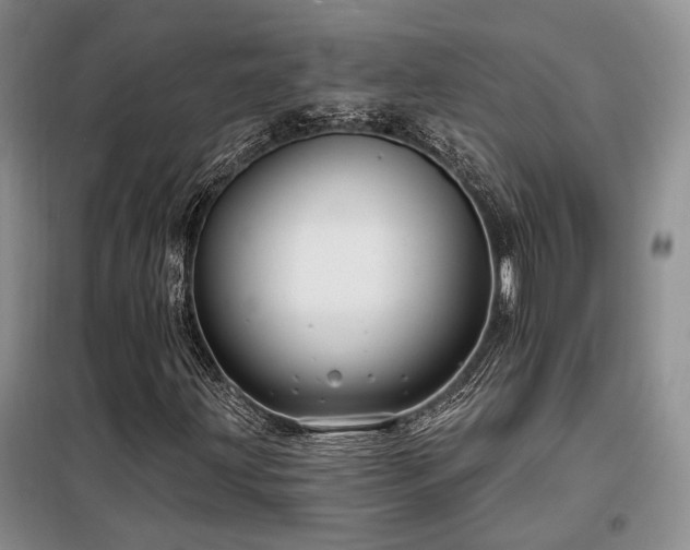 X0000098131203200804171512