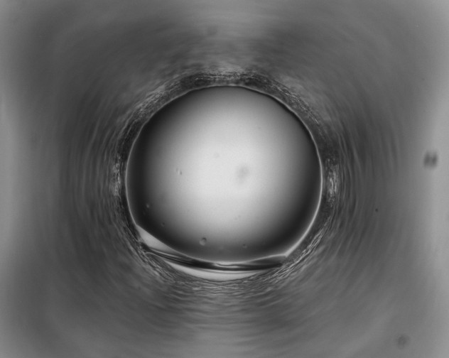 X0000098131204200804171513