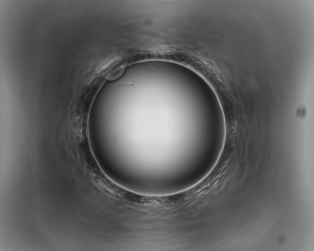 X0000098131205200804171513