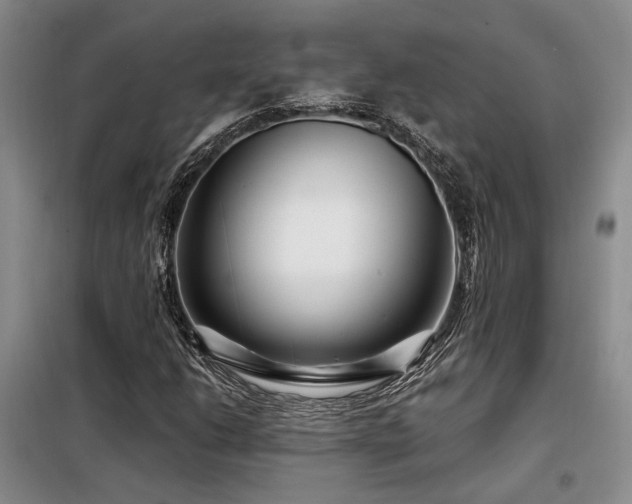 X0000098131206200804171513