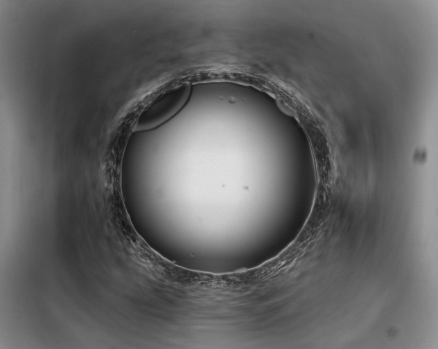 X0000098131207200804171513